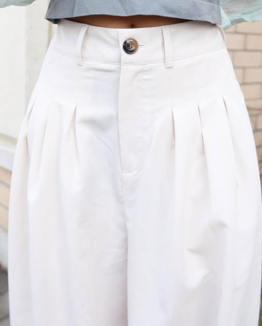 Front Pleated Wide Pants
