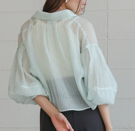 Compact Sheer Button Blouse
