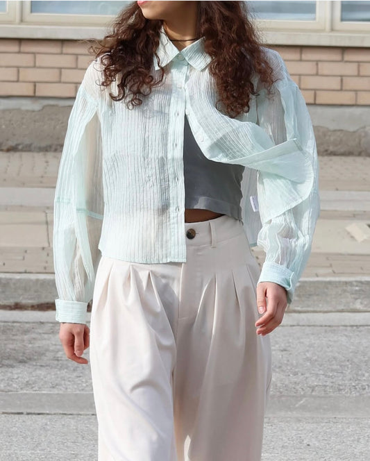 Compact Sheer Button Blouse