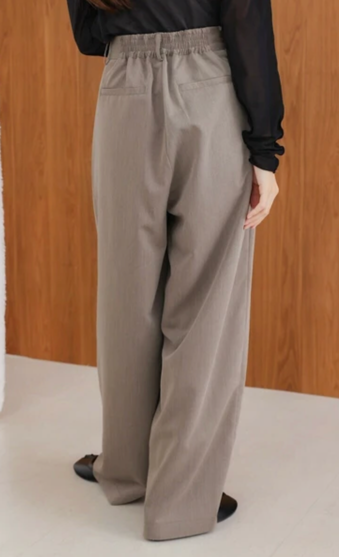 Front Pleated Wide Pants