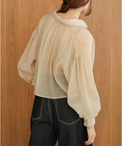 Compact Sheer Button Blouse