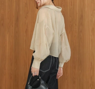 Compact Sheer Button Blouse
