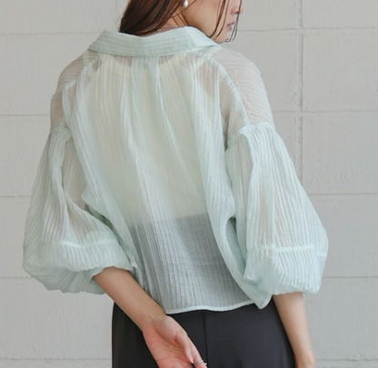 Compact Sheer Button Blouse