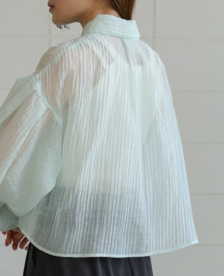 Compact Sheer Button Blouse