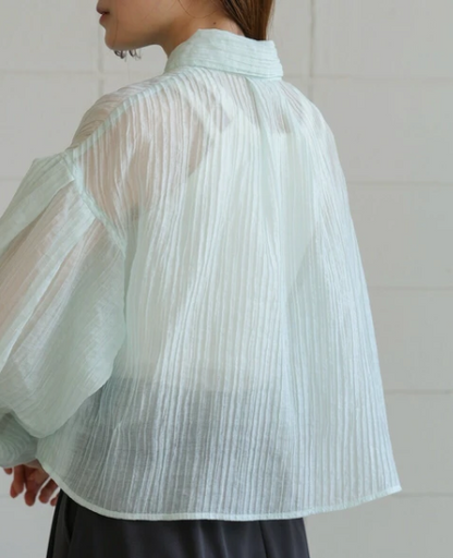 Compact Sheer Button Blouse