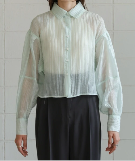 Compact Sheer Button Blouse