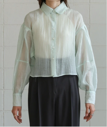 Compact Sheer Button Blouse